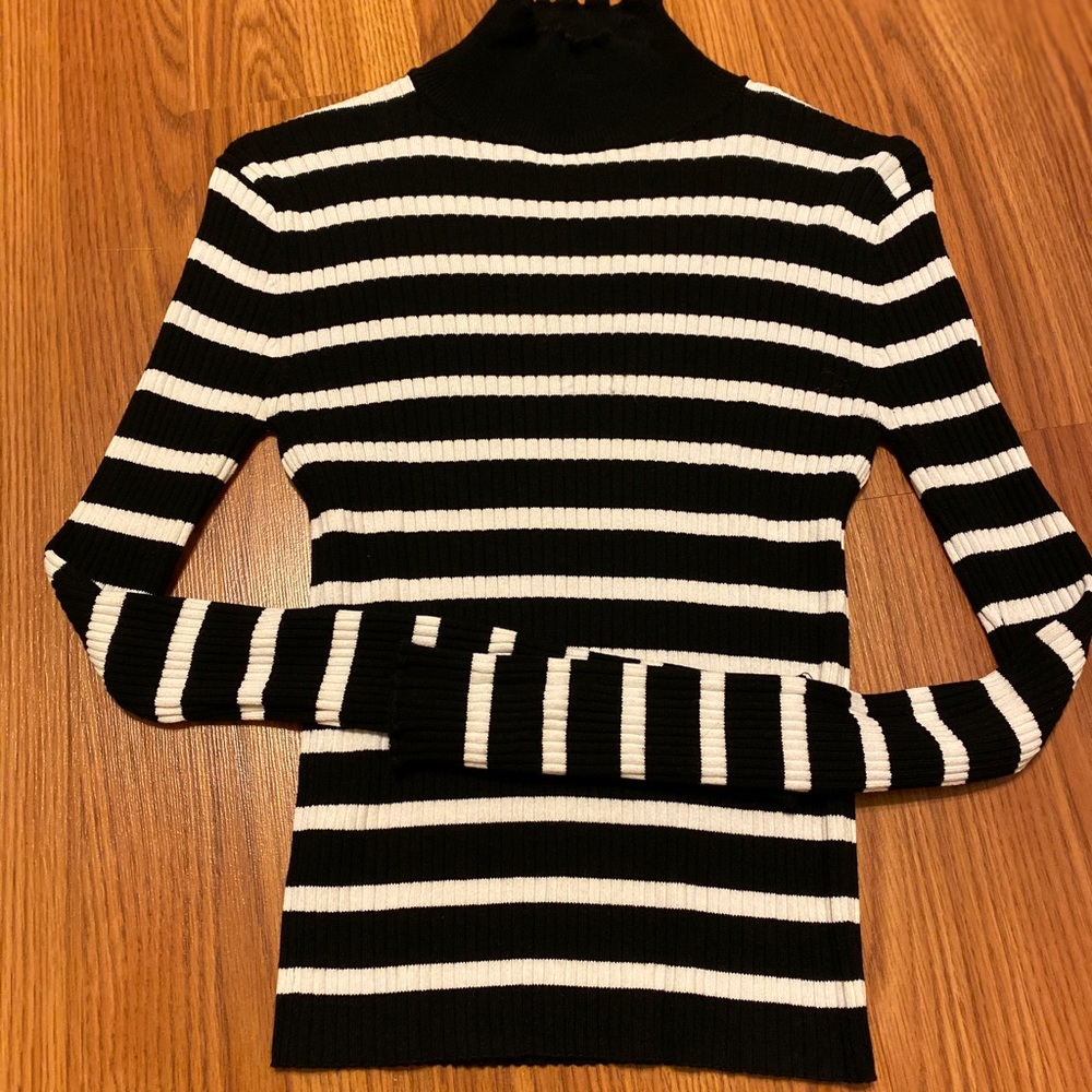 Zara Knit Striped Sweater, Hight neck.